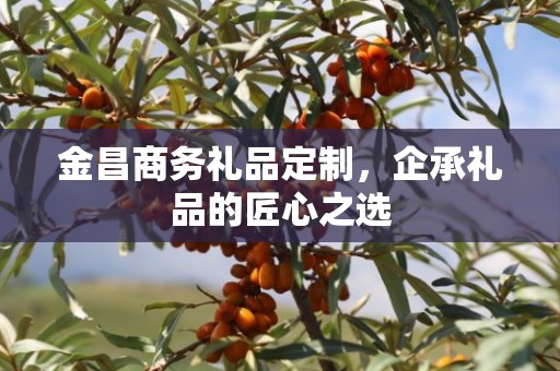 金昌商务礼品定制，企承礼品的匠心之选