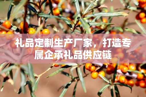 礼品定制生产厂家，打造专属企承礼品供应链